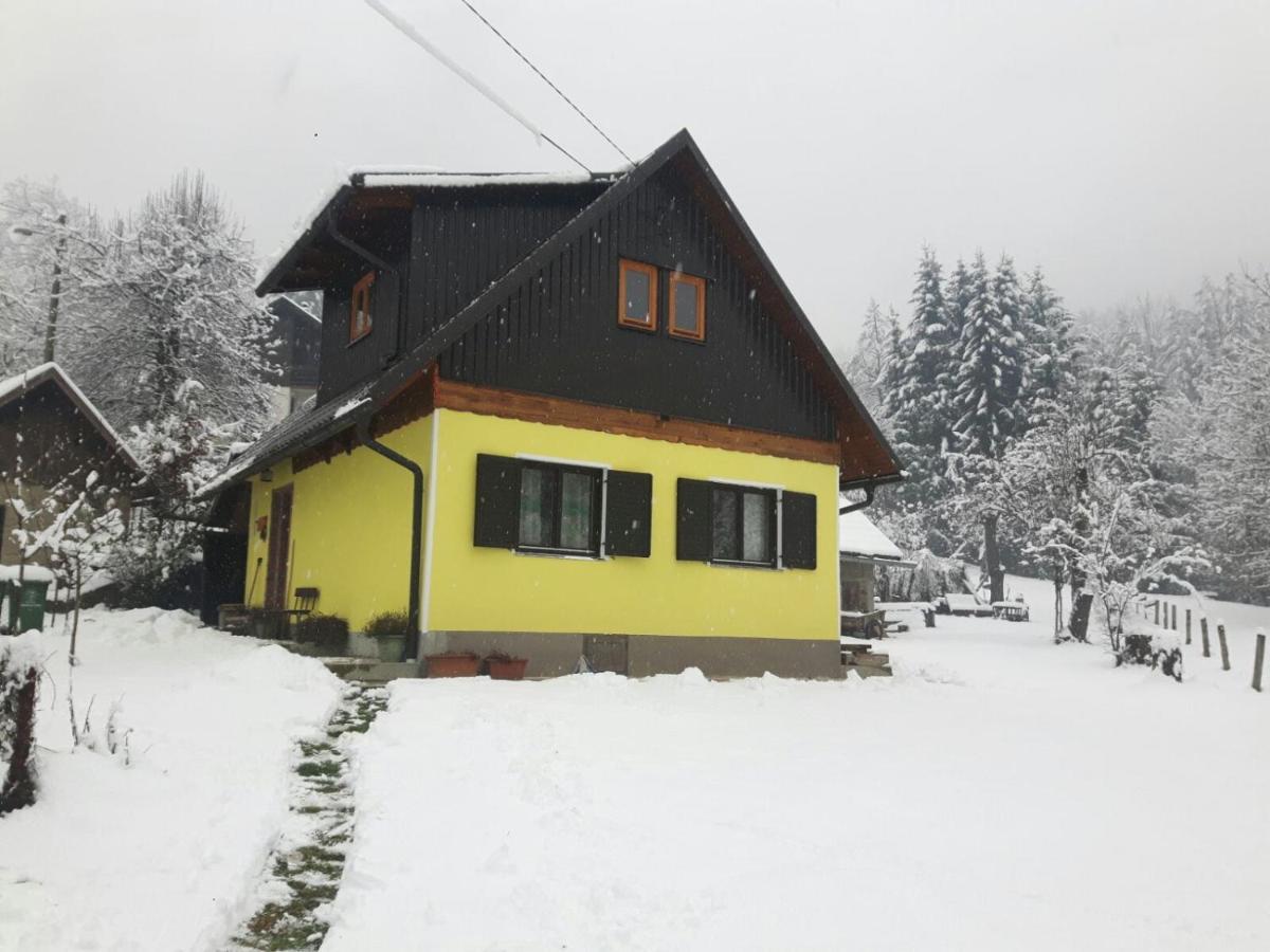 Kuca Za Odmor Forest Dream U Blizini Rijeke Kupe Plesce Exteriér fotografie