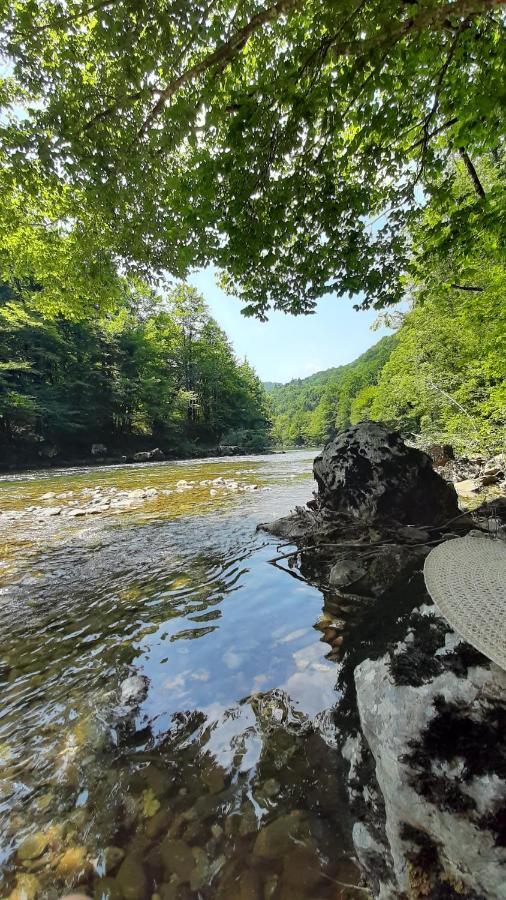 Kuca Za Odmor Forest Dream U Blizini Rijeke Kupe Plesce Exteriér fotografie