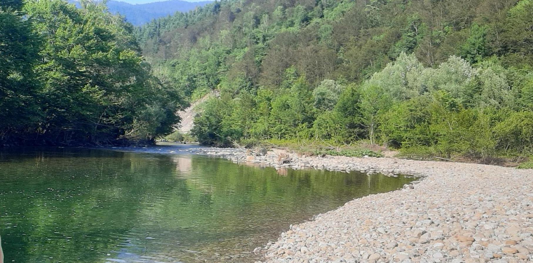 Kuca Za Odmor Forest Dream U Blizini Rijeke Kupe Plesce Exteriér fotografie